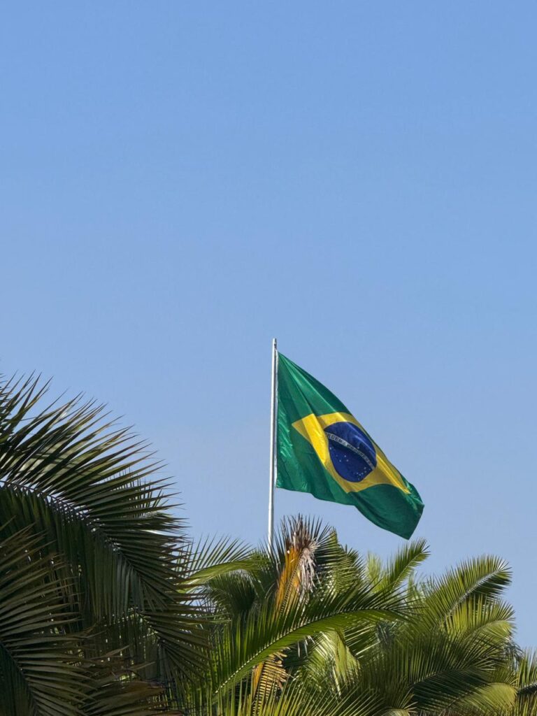 Desfile de 9 de Julho no Parque Ibirapuera